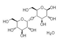 Maltoza 1 hydrat czda CAS 6363-53-7