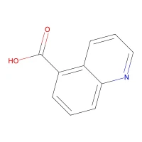 Quinoline-5-carboxylic acid, 97+% CAS 7250-53-5