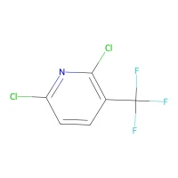 2,6-Dichloro-3-(trifluoromethyl)pyridine, 98% CAS 55304-75-1