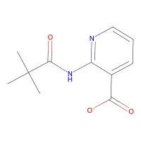 2-[(2,2-Dimethylpropanoyl)amino]nicotinic acid, 97% CAS 125867-25-6