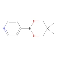 3-(5,5-Dimethyl-1,3,2-dioxaborinan-2-yl)pyridine, 97% CAS 845885-86-1