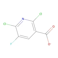 2,6-Dichloro-5-fluoronicotinic acid, 97% CAS 82671-06-5