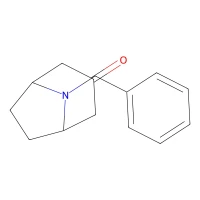 8-Benzyl-8-azabicyclo[3.2.1]octan-3-one, 97% CAS 28957-72-4