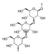 Glucan from Black Yeast CAS 9012-72-0, 90%;RG 1g