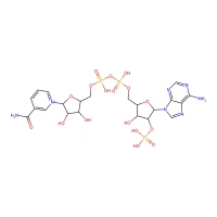 ^b-Nicotinamide adenine dinucleotide phosphate monosodium salt CAS 1184-16-3