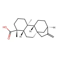 (4R,4aS,6aS,9S,11aR,11bS)-4,11b-Dimethyl-8-methylenetetradecahydro-6a,9-methanocyclohepta[a]naphthalene-4-carboxylic acid 98% CAS 6730-83-2