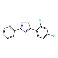 5-(2,4-Dichlorophenyl)-3-(pyridin-2-yl)-1,2,4-oxadiazole 90% CAS 339103-05-8