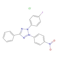 Iodonitrotetrazolium chloride, 98% CAS 146-68-9