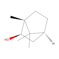 DL-Isoborneol, 93%, tech. CAS 124-76-5