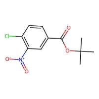 tert-Butyl 4-chloro-3-nitrobenzoate 95% CAS 157160-99-1