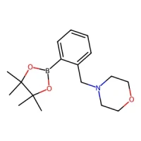 4-(2-(4,4,5,5-Tetramethyl-1,3,2-dioxaborolan-2-yl)benzyl)morpholine 98% CAS 876316-33-5