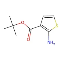 tert-Butyl 2-aminothiophene-3-carboxylate 97% CAS 59739-05-8