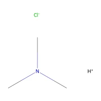 Trimethylamine hydrochloride, 98% CAS 593-81-7