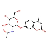 4-Methylumbelliferyl 2-acetamido-2-deoxy-β-D-glucopyranoside 98% CAS 37067-30-4