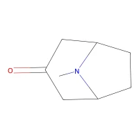 Tropinone, 99% CAS 532-24-1