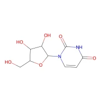 Uridine, 99% CAS 58-96-8