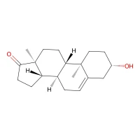 (+)-Dehydroisoandrosterone, 99% CAS 53-43-0