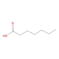 Heptanoic acid, 98% CAS 111-14-8