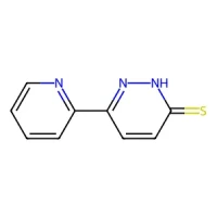 6-(Pyridin-2-yl)pyridazine-3(2H)-thione 95% CAS 1005036-25-8