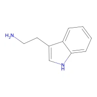 Tryptamine, 98%, - NPS VI CAS 61-54-1