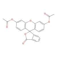 Fluorescein diacetate, 97%, pure CAS 596-09-8