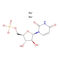 Uridine 5'-monophosphate, disodium salt, hydrate, 98% CAS 3387-36-8