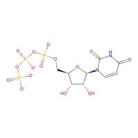 Uridine 5'-triphosphate, trisodium salt, hydrate, 90% CAS 19817-92-6