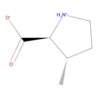 (2S,3S)-3-Methylpyrrolidine-2-carboxylic acid, 97% CAS 10512-89-7