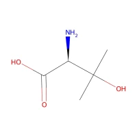 (S)-(+)-2-Amino-3-hydroxy-3-methylbutanoic acid, 98%, 94% ee CAS 2280-27-5