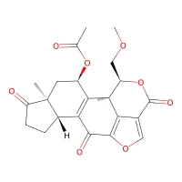 Wortmannin, 98% CAS 19545-26-7
