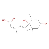 (+)-Abscisic acid, 98% CAS 21293-29-8