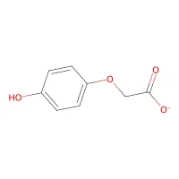 (4-Hydroxyphenoxy)acetic acid, 98% CAS 1878-84-8