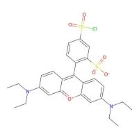 Lissamine rhodamine B sulfonyl chloride, pure CAS 62796-29-6
