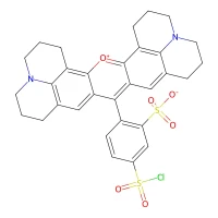 Sulforhodamine 101 (free acid), 99%, pure, laser grade CAS 60311-02-6
