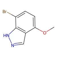 7-Bromo-4-methoxyindazole 95% CAS 1337879-62-5