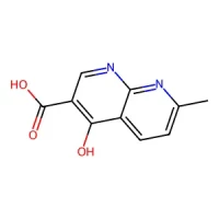 4-Hydroxy-7-methyl-1,8-naphthyridine-3-carboxylic acid 95% CAS 13250-97-0