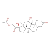 Hydrocortisone acetate, 97+% CAS 50-03-3