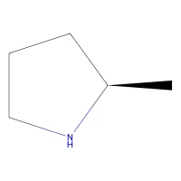(R)-(-)-2-Methylpyrrolidine, 95% CAS 41720-98-3