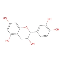 (-)-Epicatechin CAS 490-46-0