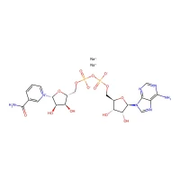 ^b-Nicotinamide adenine dinucleotide reduced disodium salt, 98% CAS 606-68-8