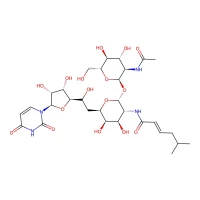 Tunicamycin, 95% CAS 11089-65-9