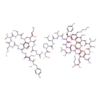 ^b-Endorphin, human CAS 61214-51-5