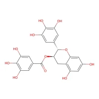 (-)-Gallocatechin gallate CAS 4233-96-9
