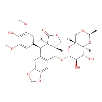 Etoposide CAS 33419-42-0