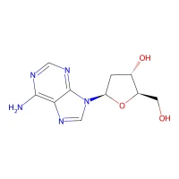 2'-Deoxyadenosine, 99% CAS 958-09-8