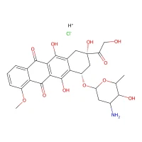 Doxorubicin hydrochloride CAS 25316-40-9