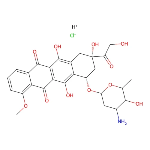 61fa20646008055156679f2fca2f3fdf