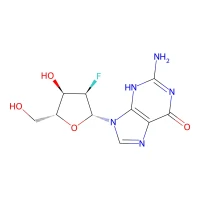 2'-Fluoro-2'-deoxyguanosine, 99% CAS 78842-13-4