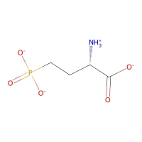 (S)-(+)-2-Amino-4-phosphonobutyric acid, 99% CAS 23052-81-5