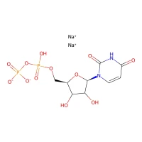 Uridine-5'-diphosphate disodium salt, 98% CAS 27821-45-0